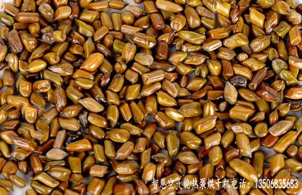 決明子烘干機(jī)