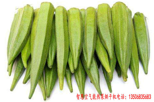 黃秋葵烘干機(jī)